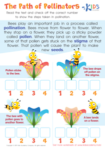 2nd Grade Science Worksheets and Free Printables